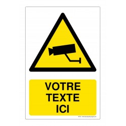 W163 - Surveillance...