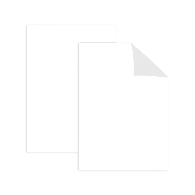 Feuilles Effaçables à Sec Pour Fractions - 10 Feuilles A4, Réutilisables, Outil Pédagogique Maths